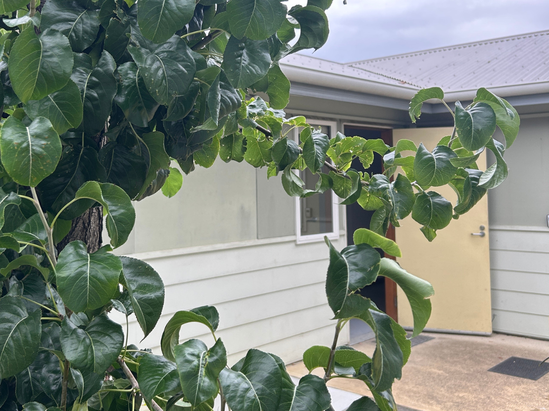 The Langford guide to SIL: What is it, who is eligible, and how to get started?